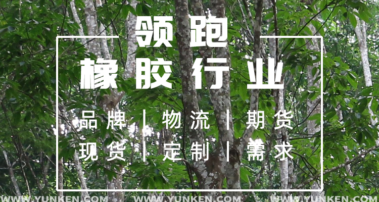 領(lǐng)跑橡膠行業(yè)