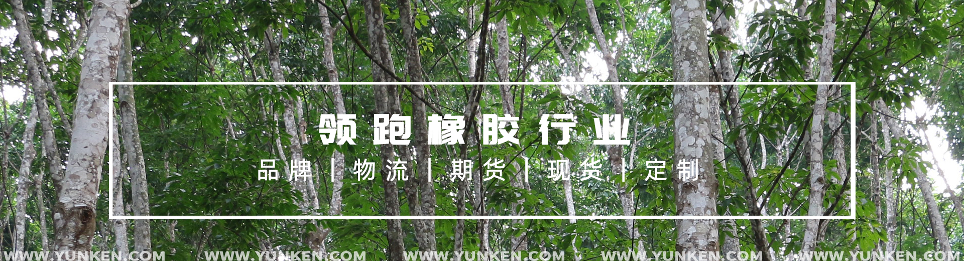 領(lǐng)跑橡膠行業(yè)