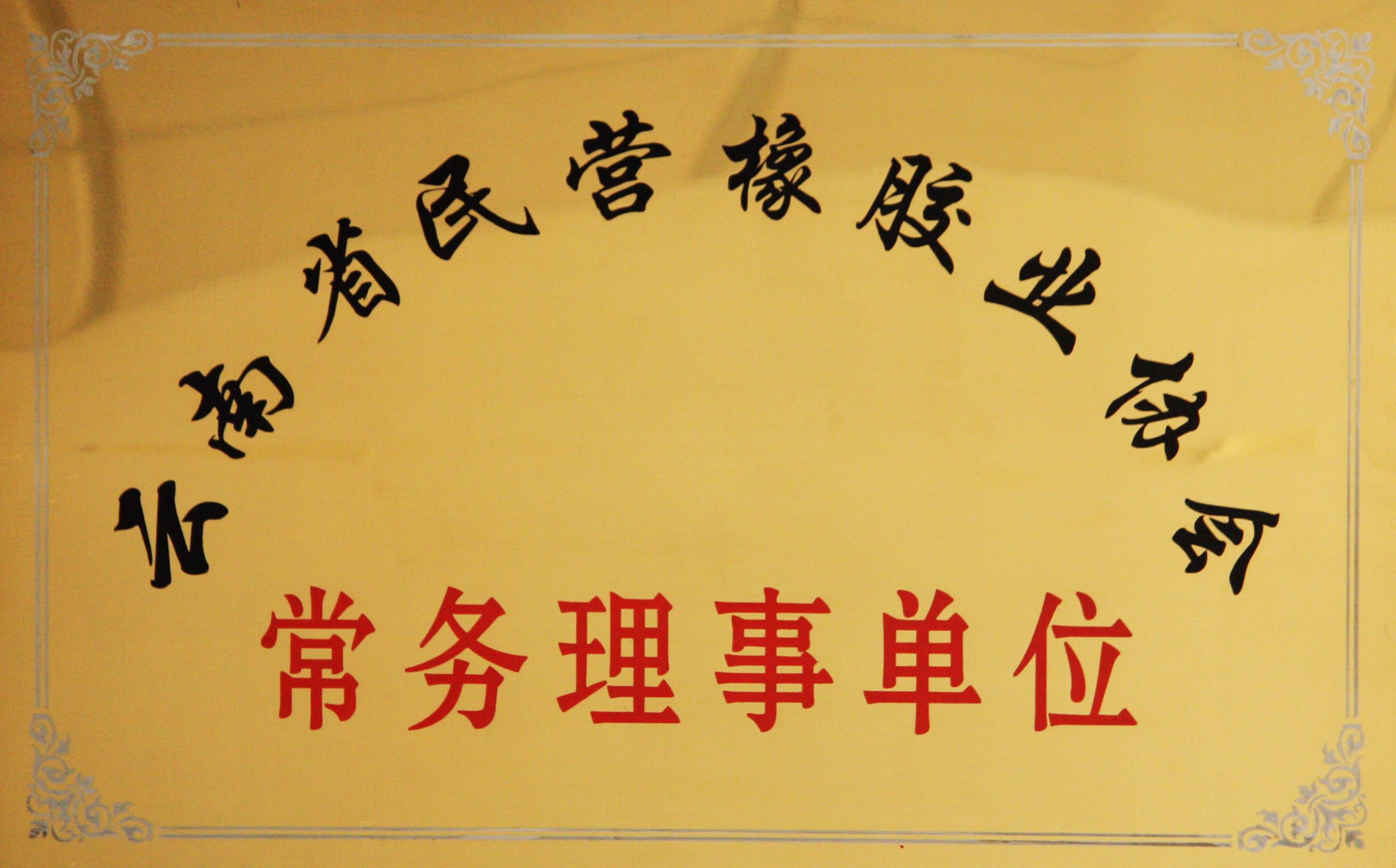 十.云南省民營(yíng)橡膠企業(yè)協(xié)會(huì)常務(wù)理事單位