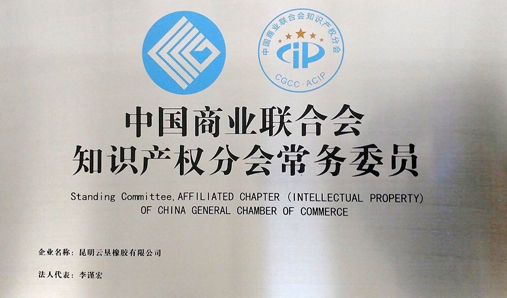 十一.中國(guó)商業(yè)聯(lián)合會(huì)知識(shí)產(chǎn)權(quán)分會(huì)常務(wù)委員