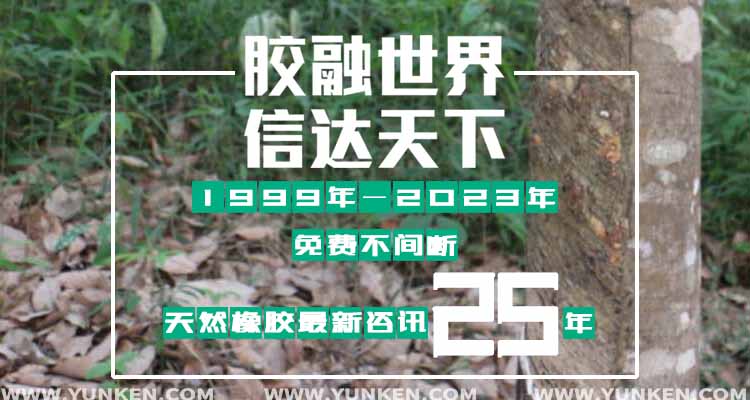 公司25年