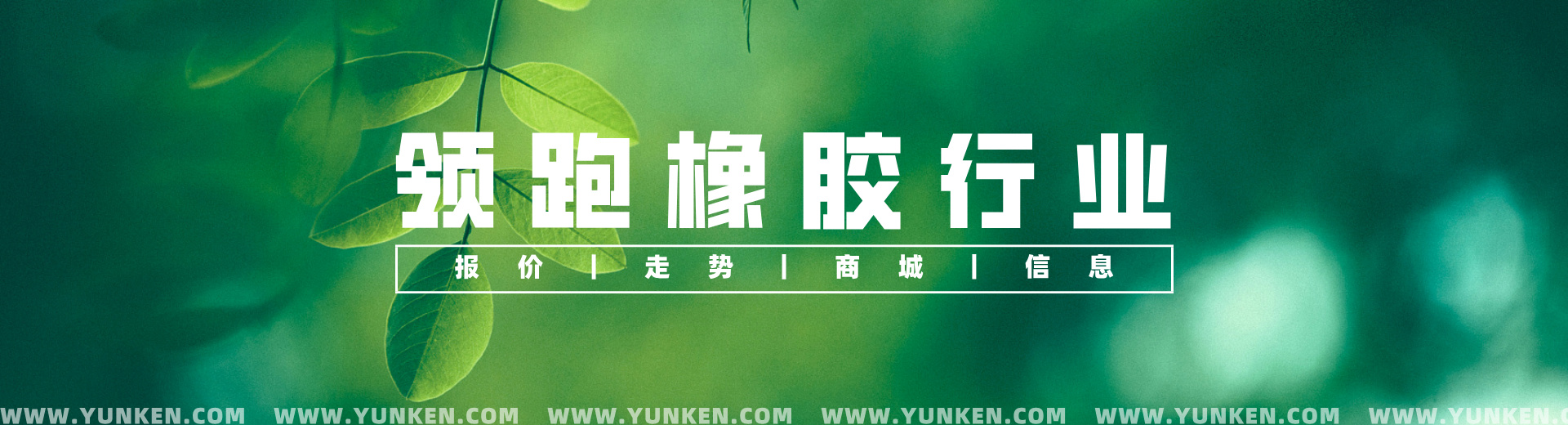 領(lǐng)跑橡膠行業(yè)banner