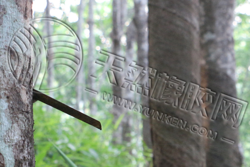氧化鋁：維持強(qiáng)勢(shì)（20241009）