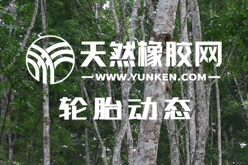 大業(yè)股份2023年1-6月凈利潤扭虧為盈