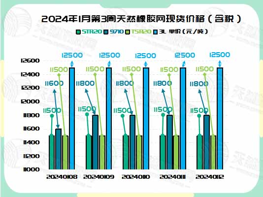 二零二四零一一六橡膠周圖二.jpg