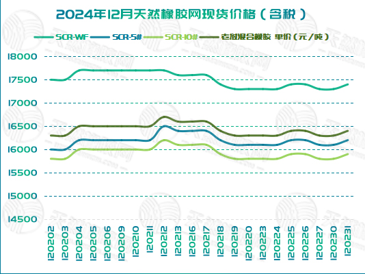 二零二五零一零八橡膠周圖三.jpg