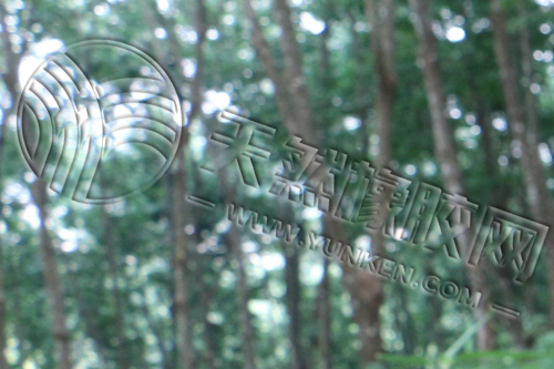 [橡膠設(shè)備]抽膠泵的工作原理